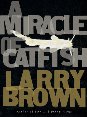 cover image of A Miracle of Catfish